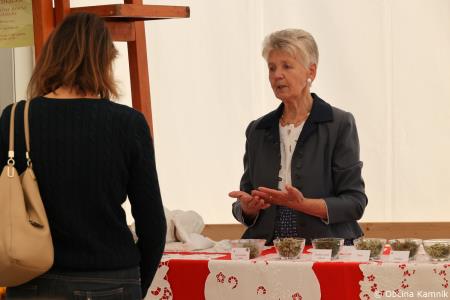V Snoviku je potekala 5. tradicionalna prireditev z naslovom Cvetoča jesen  (28)